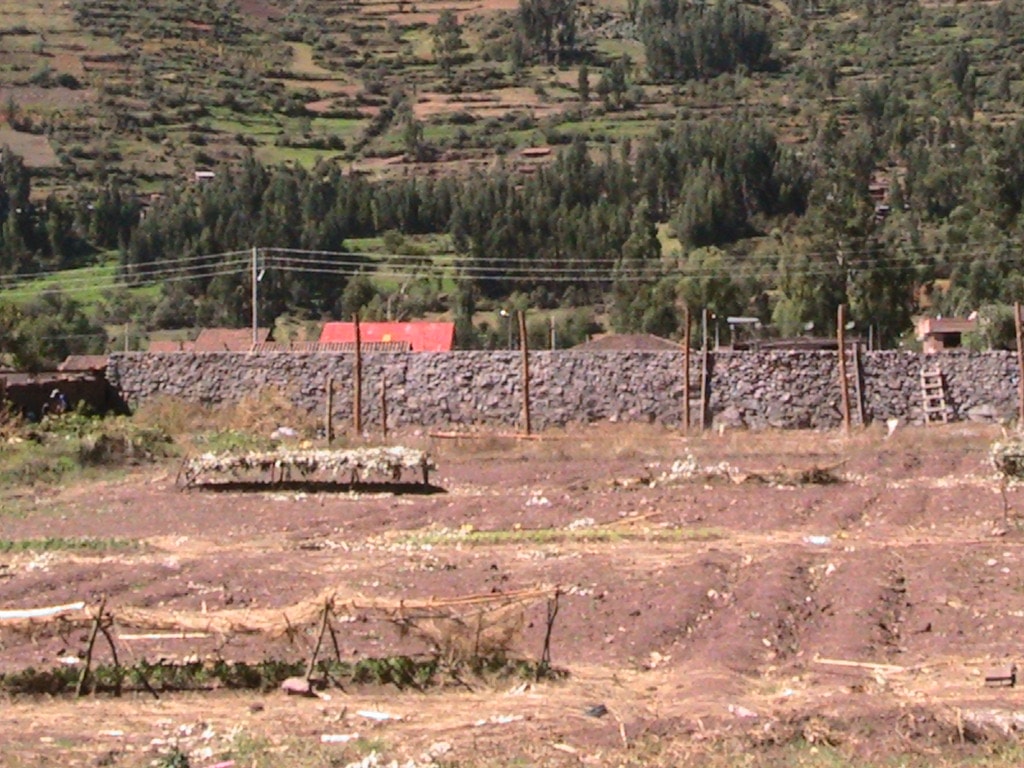 The field where we plan to build the greenhouse that will become a source of revenue and fresh produce.