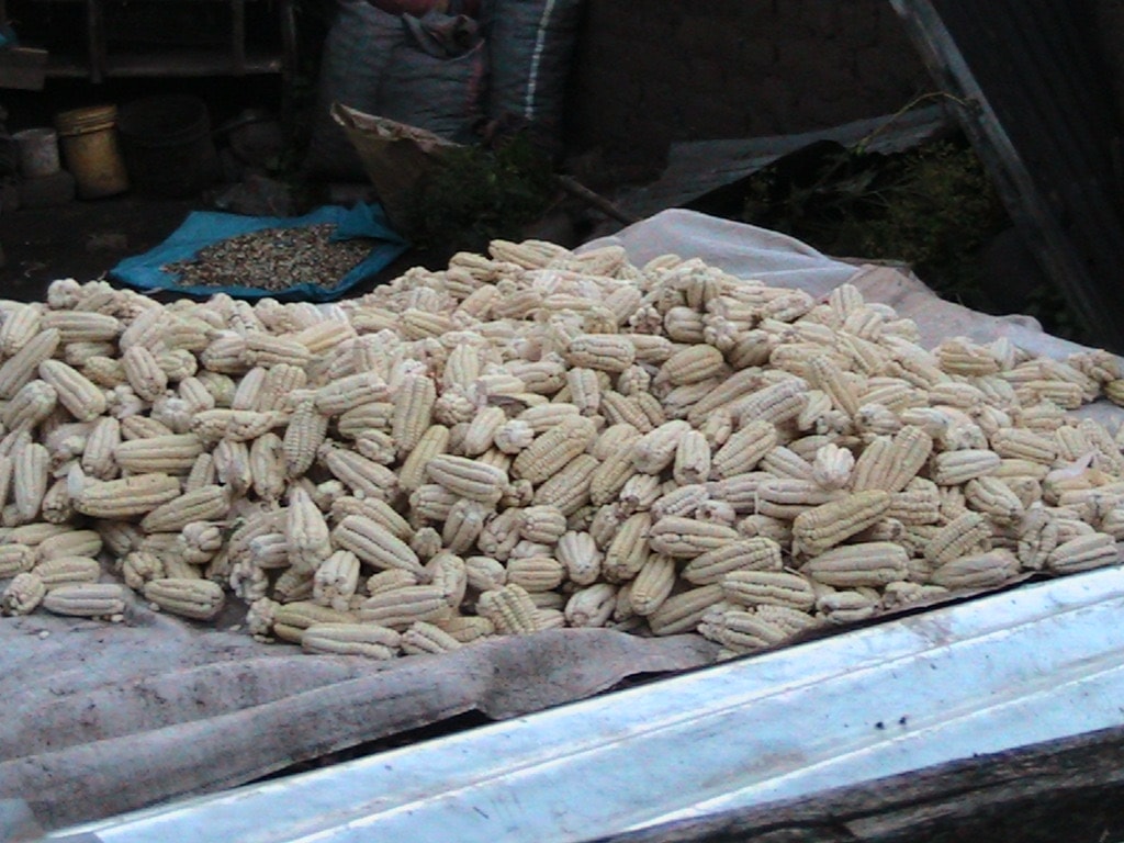 Quinoa, grown throughout the Sacred Valley, is one of the most important superfood known to have been domesticated by the Andean people since 3,000-4,000 years ago.
